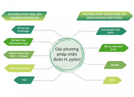 Các phương pháp chẩn đoán Helicobacter pylori (H. pylori): So sánh ưu điểm, hạn chế và ứng dụng lâm sàng